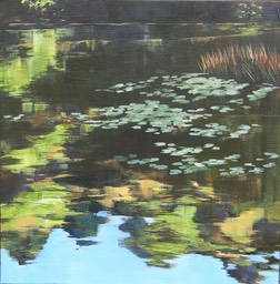 Lily Pond Reflection